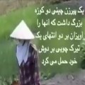 کوزه شکسته -video